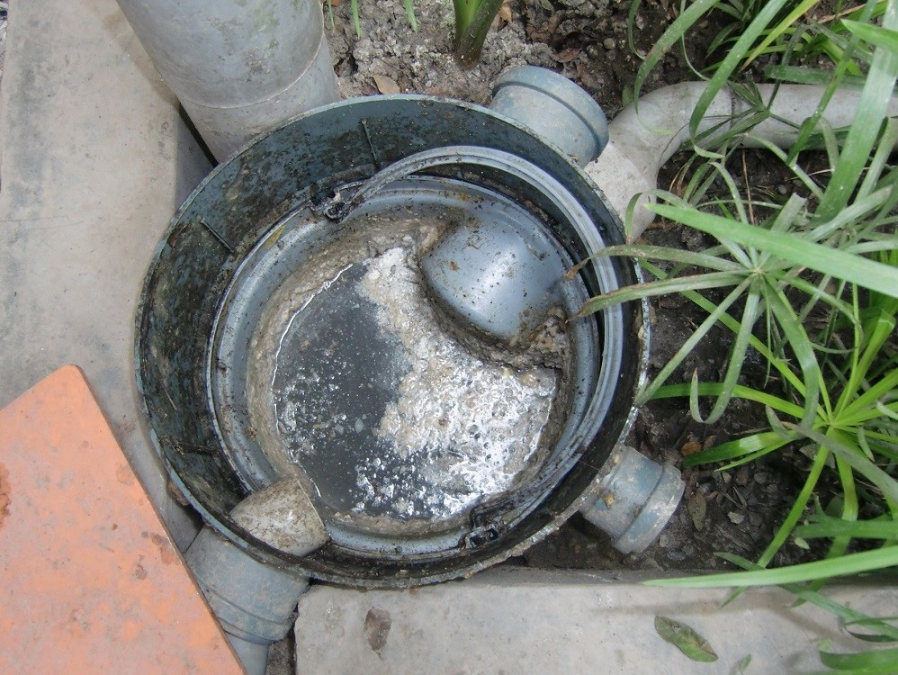Pasadena-Southern Elite Septic Installation Services of Pearland